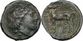 Greek Italy. Bruttium, Nuceria. AE 21 mm, c. 300 BC. D/ Head of Apollo right, laureate; below, A. R/ Horse standing left; below, pentagram. HN Italy 2...