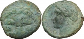 Greek Italy. Bruttium, Rhegion. AE 21 mm, 351-280 BC. D/ Lion mask facing. R/ Head of Apollo left, laureate. HN Italy 2534b. AE. g. 7.63 mm. 21.00 Pal...