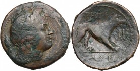 Greek Italy. Bruttium, Rhegion. AE Tetrans, 215-150 BC. D/ Head of Apollo right, laureate; behind, palm branch. R/ Wolf right. HN Italy 2562. AE. g. 7...