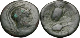 Sicily. Kalakte. AE 20 mm, 240-210 BC. D/ Head of Athena right, helmeted. R/ Owl standing right on amphora, head facing, wings closed. CNS I, 1. AE. g...