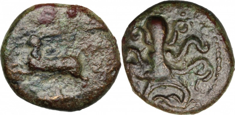 Sicily. Messana. AE 17 mm, 406-396 BC. D/ Hare leaping left. R/ Octopus. CNS I, ...