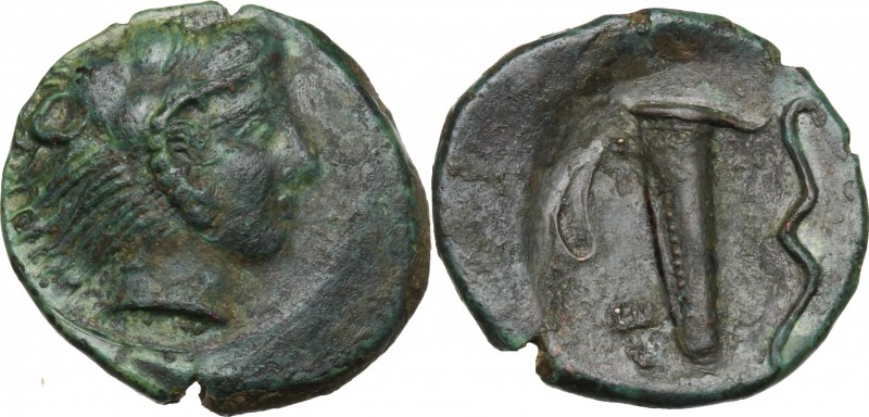 Sicily. Selinos. AE Hemilitron, 415-409 BC. D/ Head of Herakles right, wearing l...