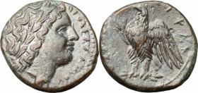 Sicily. Syracuse. Hiketas II (287-278 BC). AE 23 mm. D/ Head of young Zeus Hellanios right, laureate. R/ Eagle standing left on thunderbolt. CNS II 16...