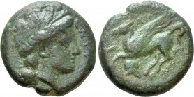 SICILY. Entella. Campanian Mercenaries (Circa 316/310-300/290 BC). Ae Hemilitron(?)