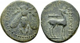 IONIA. Ephesos. Ae (Circa 200 BC). Hermotrephes, magistrate