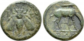 IONIA. Ephesos. Ae (Circa 190-150 BC). Solon, magistrate