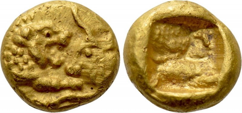 KINGS OF LYDIA. Kroisos (Circa 564/53-550/39 BC). GOLD 1/12 Stater. Sardes.

O...