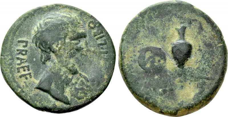 HISPANIA. Uncertain. Ae (44 BC - 69 AD). 

Obv: CN STATI LIBO PRAEF. 
Bare he...