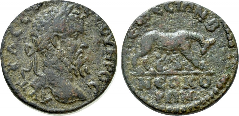 IONIA. Ephesos. Septimius Severus (193-211). Ae. 

Obv: AYT KΛCE CEOYHPOC. 
L...