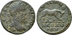 IONIA. Ephesos. Septimius Severus (193-211). Ae