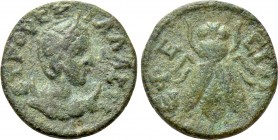 IONIA. Ephesos. Herennia Etruscilla (249-251). Ae