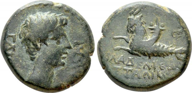 LYDIA. Philadelphia. Caligula (AD 37-41). Ae. Attalikos (philokaisar). 

Obv: ...