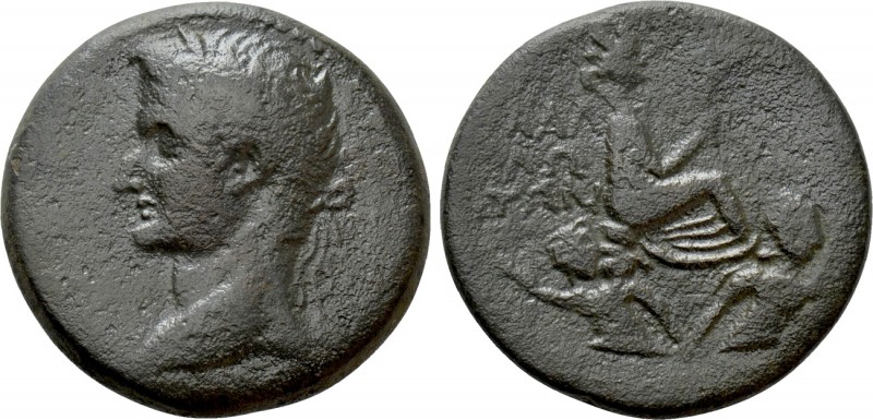 CILICIA. Mallus. Caligula (37-41). Ae. 

Obv: Laureate head left.
Rev: ΜΑΛΛΩΤ...