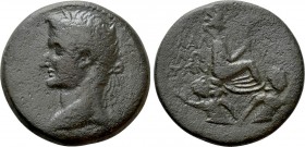 CILICIA. Mallus. Caligula (37-41). Ae