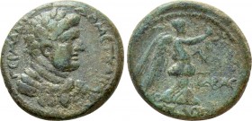 JUDAEA. Caesarea Panias. Agrippa II, with Domitian ( Circa 50-100 AD). Ae. Dated RY 24 (83/4 AD)