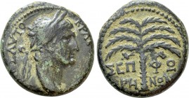 JUDAEA. Sepphoris (Diocaesarea). Trajan (98-117). Ae