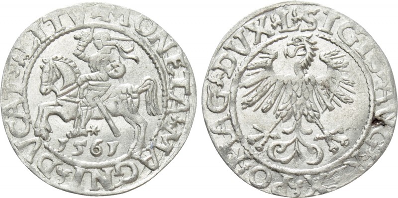 LITHUANIA. Sigismund August of Poland (1544-1572). Half Grosh (1561). 

Obv: M...