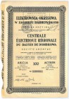 Elektrownia Okręgowa w Zagłębiu Dąbrowskim SA, 100 złotych 1935 Bardzo popularna akcja, ale konieczna do każdego energetycznego zbioru. Spółka prowadz...