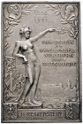 Nürnberg, Stadt
Einseitige, mattierte Silberplakette o.J. (1911) von Lauer. Ehrenplakette vom Verein für Münzkunde Nürnberg für 25-jährige Mitgliedsc...