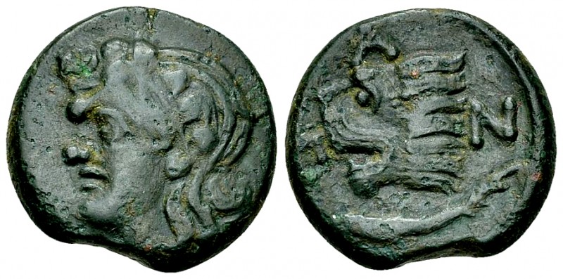 Pantikapaion AE20, head of Satyr/lion's head, c. 310-304/3 BC 

Pantikapaion, ...