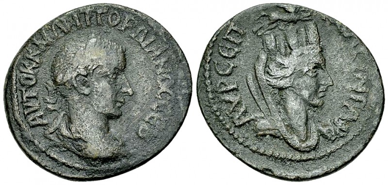 Gordianus III AE26, Singara 

Gordian III Pius (AD 238-244). AE26 (12.49 g)
O...