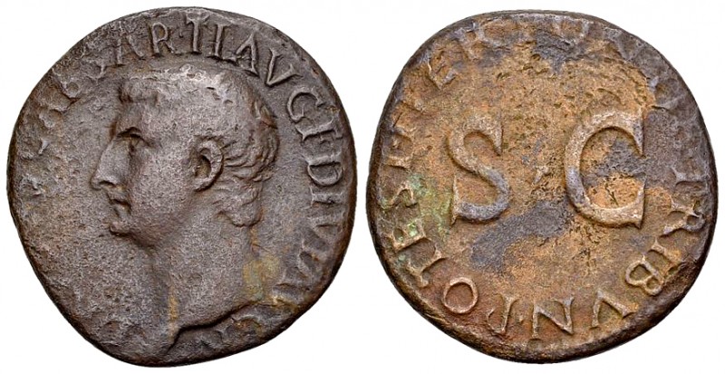 Drusus AE As, large SC reverse 

Drusus (+23 AD). AE As (26 mm, 9.54 g), Rome,...