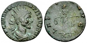 Quintillus AE Antoninianus, Laetitia reverse