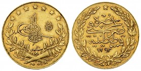 Abdul Hamid II AV 100 Kurush 1293/20