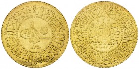 Abdul Hamid II AV 50 Kurush 1293/27