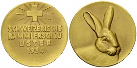 Uster, Vergoldete AE Medaille 1954, Rammlerschau