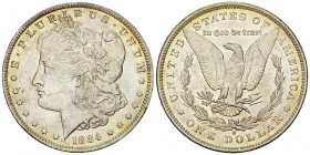 USA AR Dollar 1884 O