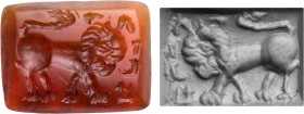 GEMMEN UND SIEGELSTEINE
 Intaglio Karneol, orange-rot, viereckig mit leicht abgerundeten Kanten, flach, Löwe steht n. r., umlaufend Pahlavi-Inschrift...
