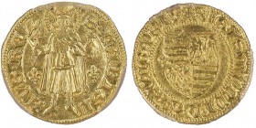 Hungary, Sigismund 1387-1437
Gold Gulden lis/lis, AU 3.49 g. 
Ref : Fr. 10, Huszar 572
Conservation : PCGS AU Detail. Trouée autrement Superbe.
