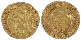 Hungary, Sigismund 1387-1437
Gold Gulden, AU 3.41 g. 
Ref : Fr. 11, Huszar 574 Conservation : PCGS XF45
