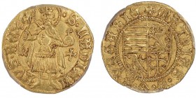 Hungary, Matthias Corvinus 1458-1490 
Gulden, AU 3.45 g.
Ref : Fr. 20, Huszar 673 var.a 
Conservation : PCGS AU58