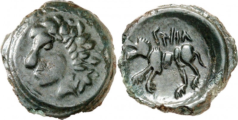 GAULE
Durocasses (fin de la guerre des Gaules). Bronze.
Av. Profil à gauche au...