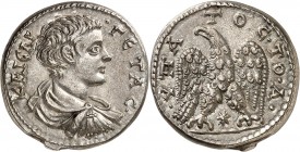 EMPIRE ROMAIN
Geta (198-209) Seleucis et Pieria. Tétradrachme.
Av. Buste drapé à droite. Rv. Aigle de face.
Prieur. 1138. 13,96 g.
Rare, Superbe...