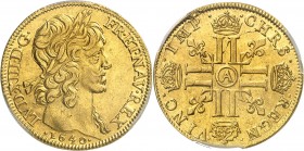 FRANCE
Louis XIII (1610-1643). Double louis d’or, 1640, Paris.
Av. Tête laurée à droite. Rv. Croix formée de huit L adossés et couronnés.
G. 59, Du...