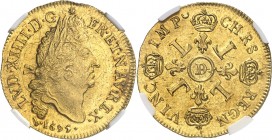 FRANCE
Louis XIV (1643-1715). Double louis d’or aux 4 L 1695 D, Lyon, réformation.
Av. Tête laurée à droite. Rv. Croix formée de 4 lis couronnés can...