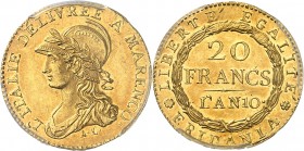 ITALIE
Gaule Subalpine (1800-1802). 20 francs Marengo an 10, Turin.
Av. Buste casqué et lauré de la République à gauche. Rv. Valeur dans une couronn...