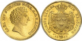 SUÈDE
Charles XIV. Johan (1818-1844). Ducat 1843.
Av. Tête nue à droite. Rv. Écu couronné.
Fr. 87.
PCGS MS 64. Pesque Fleur de coin