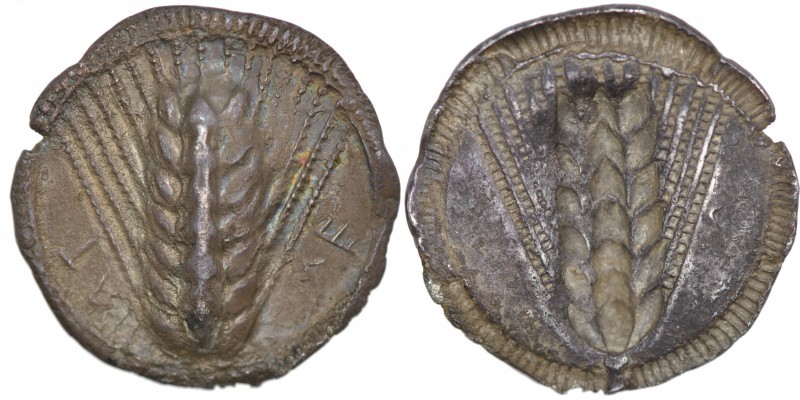 Lucania, Metapontion. Circa 540-510 BC. AR Nomos (29mm, 7.78g, 12h). Ear of barl...