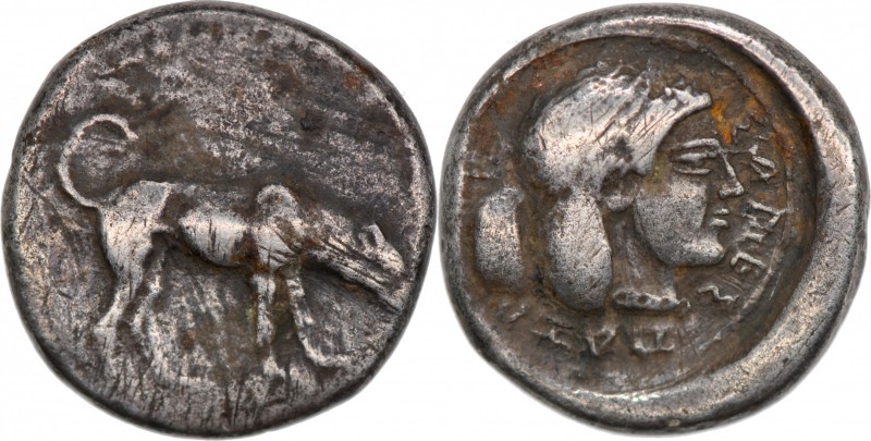Sicily, Segesta. Circa 475-455 BC. AR Didrachm (19mm, 8.24g, 2h). Hound standing...