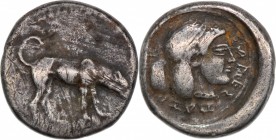 Sicily, Segesta. Circa 475-455 BC. AR Didrachm (19mm, 8.24g, 2h). Hound standing right, scenting / Head of female right, hair in thin band, within pel...