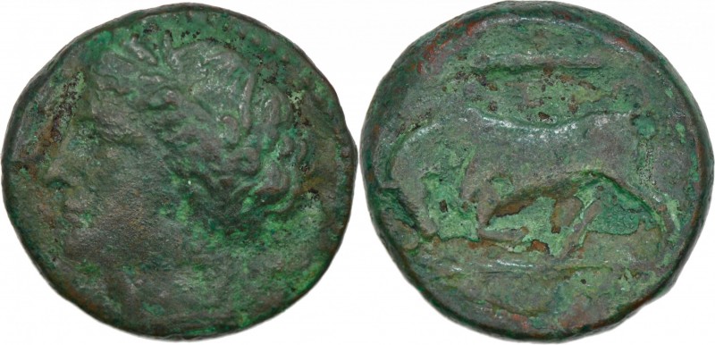 Sicily, Syracuse. Hieron II. 275-215 BC. Æ (19mm, 5.26g, 2h). Struck circa 275-2...