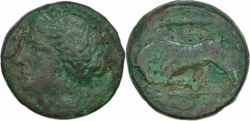 Sicily, Syracuse. Hieron II. 275-215 BC. Æ (19mm, 5.26g, 2h). Struck circa 275-269/5 BC. Wreathed head of Persephone left; poppy head to right / Bull ...