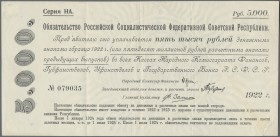Russia: 5.000 Rubles 1921 RSFSR Treasury Short Term Certificate, P.123, great condition with strong paper and without larger stains, traces of tape on...