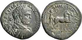Caracalla (196 - 198 - 217): Amisos in Pontos, Æ Sesterz (sestertius). Geprägt 245 = 213/4 AD. Kopf mit Lorbeerkranz nach rechts AYT KAI M AVR ANTWNIN...