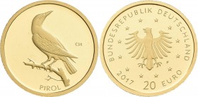 Deutschland: 20 Euro 2017 Serie Heimische Vögel: Pirol (F). In Original Kapsel, ohne Zertifikat. Jaeger 619. 3,89 g, (1/8 OZ), 999/1000 Gold. Stempelg...