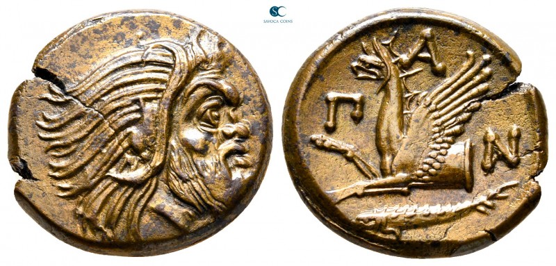 Cimmerian Bosporos. Pantikapaion 310-304 BC. 
Bronze Æ

23 mm, 7,07 g

Bear...